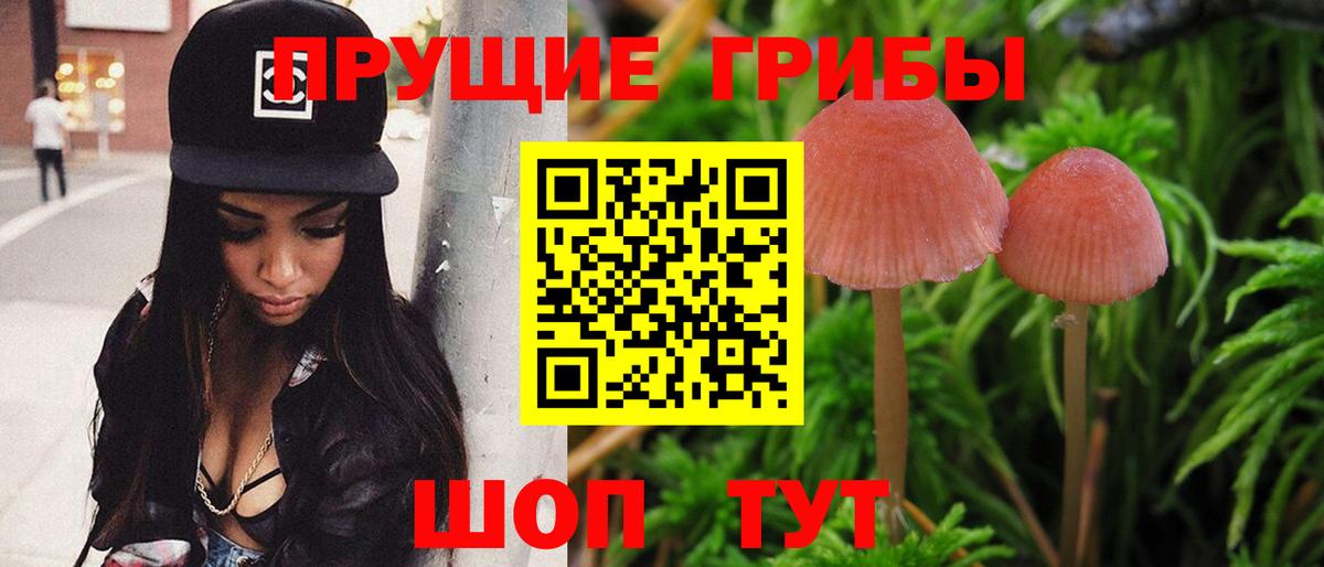 Галлюциногенные грибы Magic Shrooms  Галлюциногенные грибы Cubensis  Вход с VPN  Анапа 